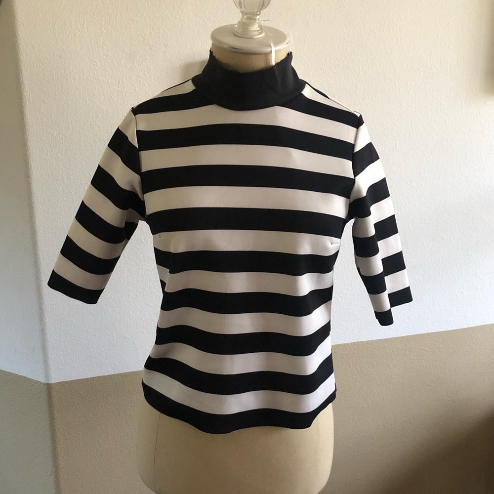 Fun semi-cropped stripped turtle neck from Zara!